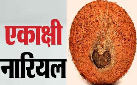 एकाक्षी नारियल के ये उपाय करते हैं झमाझम पैसों की बरसात, कर देते है मालामाल 