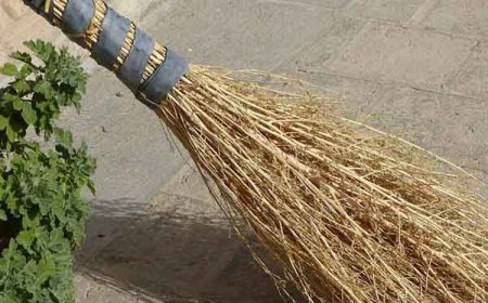 किसी के बाहर जाने के तुरंत बाद क्यों नहीं लगाते झाड़ू? क्या है इससे जुड़ी मान्यताएं, जानें झाड़ू रखने से लेकर लगाने तक के खास नियम