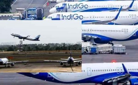 IndiGo Crisis: एयरलाइन ने सरकार से मांगी 10 फरवरी तक की मोहलत