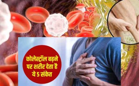 हाई कोलेस्ट्रॉल के लक्षणों को इन संकेतों से समझें आपका शरीर देगा ऐसे संकेत क्या करें ताकि कोलेस्ट्रॉल न बढ़े