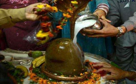 Paush Putrada Ekadashi 2025: श्री हरि विष्णु की कृपा चाहिए तो - पौष पुत्रदा एकादशी पर शिवलिंग में चढ़ाएं ये चीजें