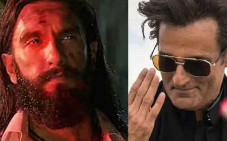 Dhurandhar Box Office Collection Day 15: रणवीर सिंह के करियर की सबसे ज्यादा कमाने वाली फिल्म बनीं धुरंधर