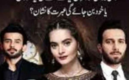 भारत सरकार के सामने रखी गयी ये बड़ी मांग- पाकिस्तानी टीवी सीरियल देख मुस्लिम परिवारों में छिड़ रहा 'युद्ध'