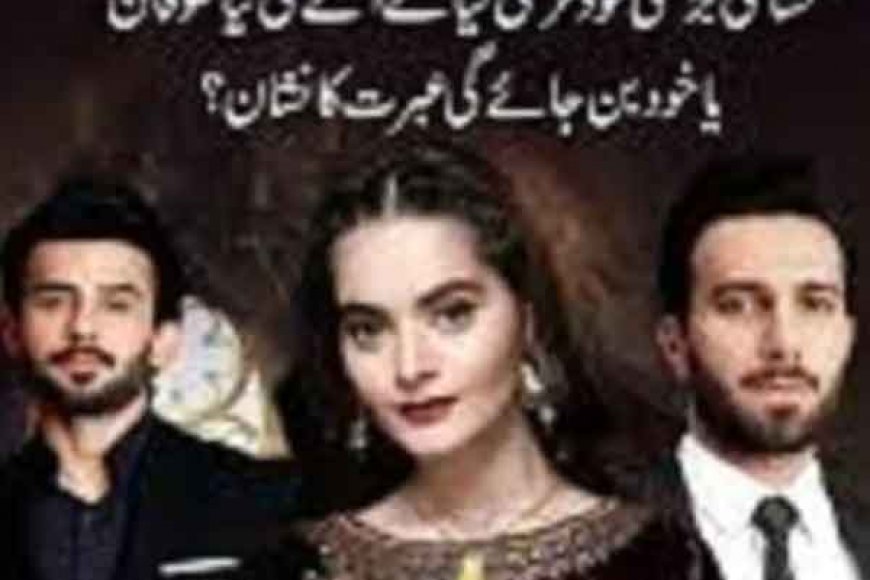 भारत सरकार के सामने रखी गयी ये बड़ी मांग- पाकिस्तानी टीवी सीरियल देख मुस्लिम परिवारों में छिड़ रहा 'युद्ध'