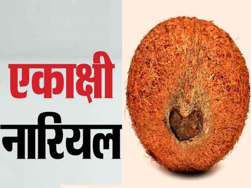 एकाक्षी नारियल के ये उपाय करते हैं झमाझम पैसों की बरसात, कर देते है मालामाल 
