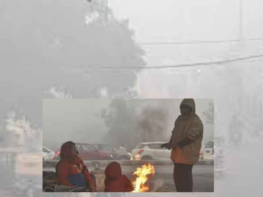 IMD का अपडेट: यूपी में पड़ने वाली है भीषण ठंड, घने कोहरे के साथ शीतलहर मचाएगी कहर, कांप उठेंगे लोग