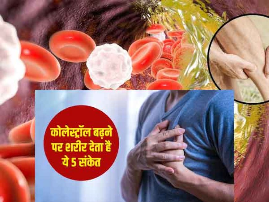 हाई कोलेस्ट्रॉल के लक्षणों को इन संकेतों से समझें आपका शरीर देगा ऐसे संकेत क्या करें ताकि कोलेस्ट्रॉल न बढ़े