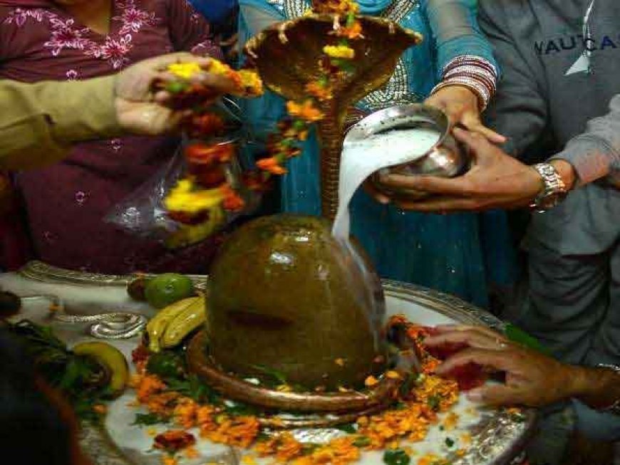 Paush Putrada Ekadashi 2025: श्री हरि विष्णु की कृपा चाहिए तो - पौष पुत्रदा एकादशी पर शिवलिंग में चढ़ाएं ये चीजें