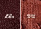 Vegan Leather: मंदिरों में बेल्ट-पर्स उतारने का झंझट भी खत्म, जानवर की खाल से नहीं बनता ये चमड़ा, कम कीमत-खूब मुलायम