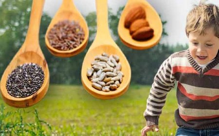 इस एक न्यूट्रिएंट से बच्चा बनता है लाखों में एक, प्रेगनेंसी की स्मार्ट प्लानिंग से पाए इंटेलिजेंट बच्चा