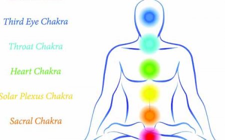 जानिए कैसे करे कलर थेरेपी और Acupressure से Dengue का इलाज , प्लेटलेट्स बहुत तेज़ी से बढ़ती है