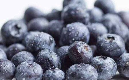 शारीरिक कमजोरी दूर करता है जामुन का बीज, BP Sugar करता कंट्रोल, जानिए इसके क्या क्या है फायदे