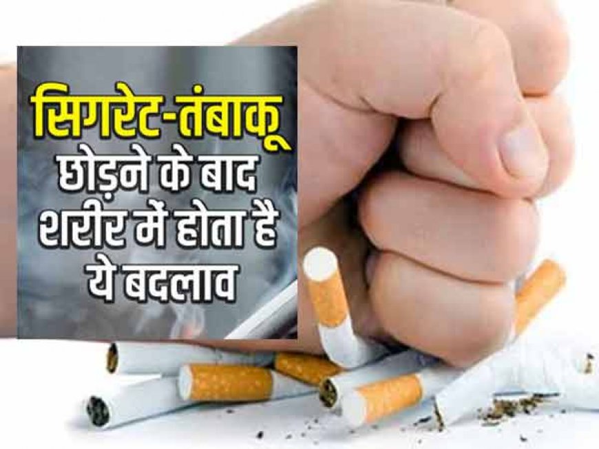 सिगरेट छोड़ने के बाद शरीर में क्या क्या होता है? जानकर हैरान हो जायेंगे