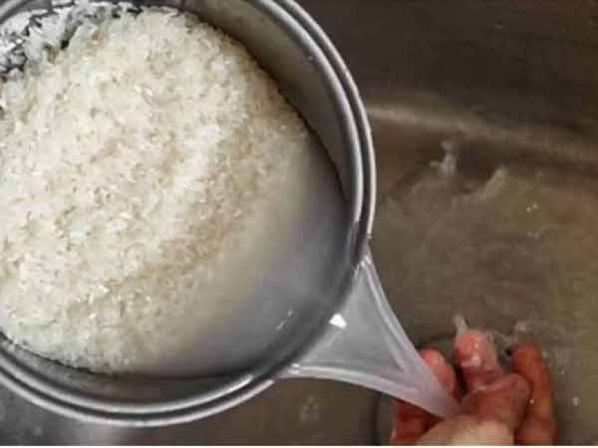 क्या आप भी चावल बनाने के बाद फेंक देते हैं इसका पानी? यहां जानें हैरान करने वाले फायदे