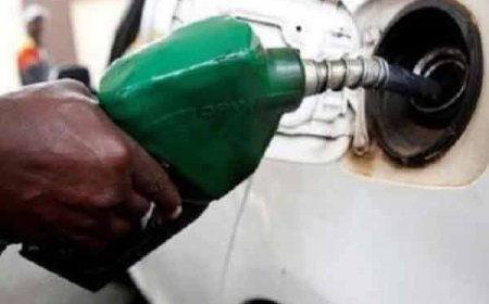 देश में बहुत जल्द बायोडीजल से चलेगी कारे सरकार कर रही है तैयारिया