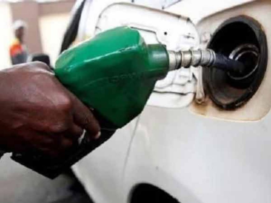 देश में बहुत जल्द बायोडीजल से चलेगी कारे सरकार कर रही है तैयारिया