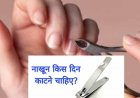 जान लीजिये नाखून काटने का सबसे शुभ दिन, अचानक मिलता है खूब सारा पैसा! इस दिन काटने से होता है नुकसान