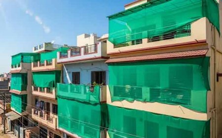 जानिये कारण: गर्मी में धूप से बचने के लिये घरों पर हरे रंग का जालीदार पर्दा क्यों लगाते हैं? 
