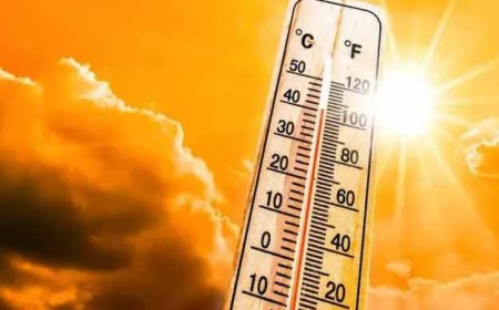 राजधानी में और बढ़ेगी तपिश: तीन दिन दिल्ली-एनसीआर झेलेगा लू का प्रकोप