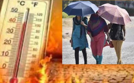 हीटवेव का अलर्ट; हिमाचल-उत्तराखंड में होगी बारिश- दिल्ली, UP और बिहार में भीषण गर्म