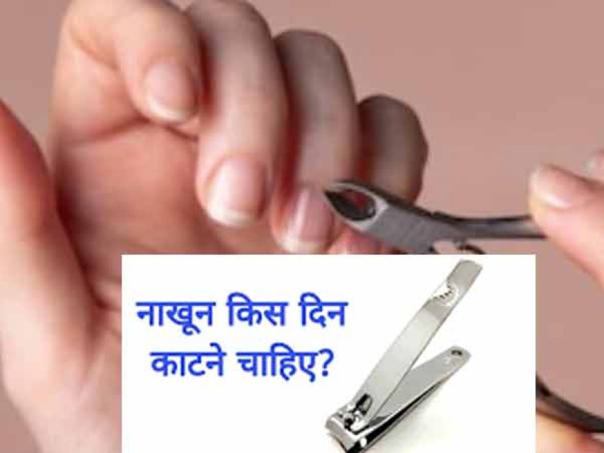 जान लीजिये नाखून काटने का सबसे शुभ दिन, अचानक मिलता है खूब सारा पैसा! इस दिन काटने से होता है नुकसान