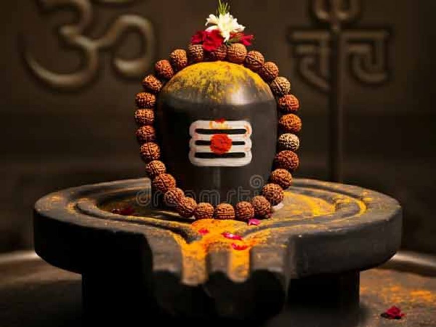 घर में शिवलिंग रखने से पहले जान लें नियम, भूलकर भी ना हो जाए ये गलती वर्ना बढ़ सकती हैं मुश्किलें