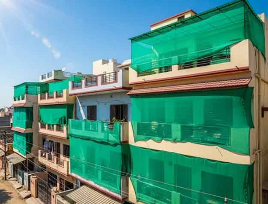 जानिये कारण: गर्मी में धूप से बचने के लिये घरों पर हरे रंग का जालीदार पर्दा क्यों लगाते हैं? 