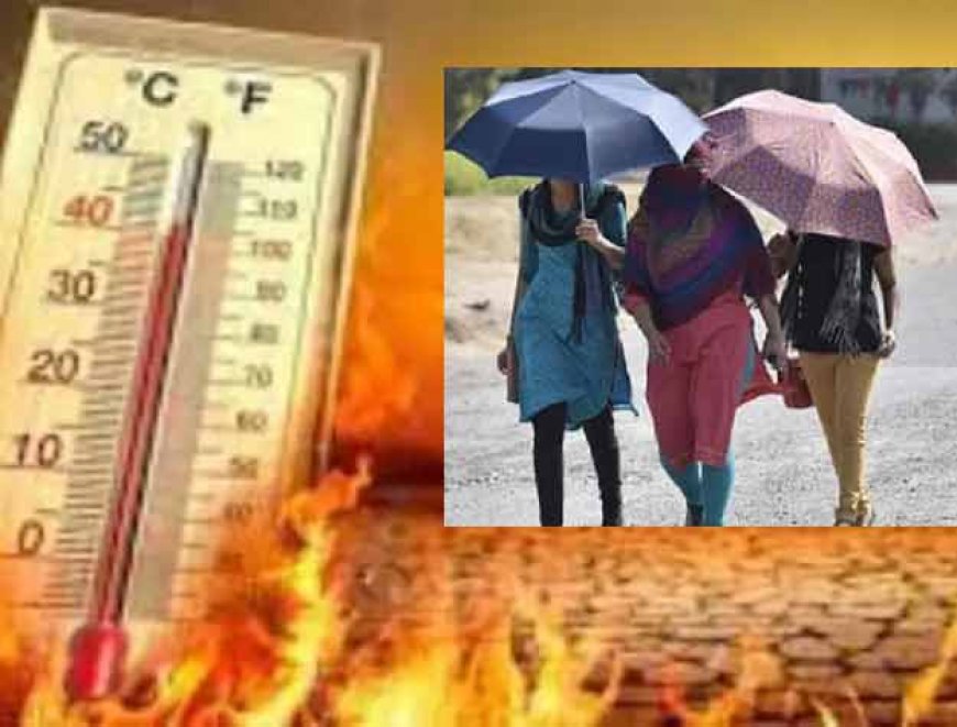 हीटवेव का अलर्ट; हिमाचल-उत्तराखंड में होगी बारिश- दिल्ली, UP और बिहार में भीषण गर्म