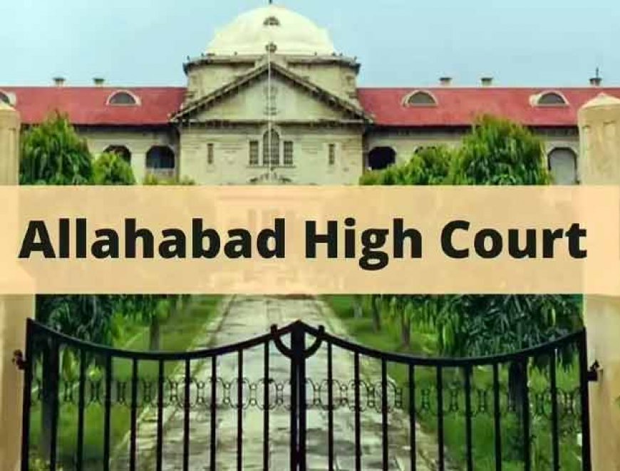 अपनी मर्जी से शादी करने वाले कपल को पुलिस नहीं करेगी परेशान; इलाहाबाद हाईकोर्ट ने एक अहम टिप्पणी 