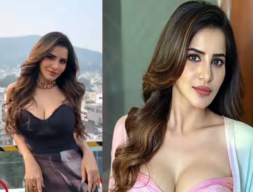 शादी का झांसा देकर NRI युवक ने 9 करोड़ की ठगी, एक्ट्रेस समेत परिवार के 3 लोगों पर मामला दर्ज