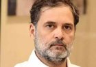 सलमान खुर्शीद ने बताया राहुल गांधी का प्लान! चुनाव रिजल्ट से पहले ही हार के लिए क्यों तैयारी कर रही कांग्रेस? 