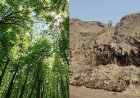 50 करोड़ का मास्टर प्लान तैयार; वाराणसी में खत्म होगा कूड़े का पहाड़: करसड़ा में बनेगा 'मियावाकी' जंगल