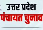 जानिए खुश क्यों हैं चुनावी तारीखों के फेर में मौजूदा प्रधान? 'पंचायत चुनाव जितने लेट हों, उतना अच्छा'