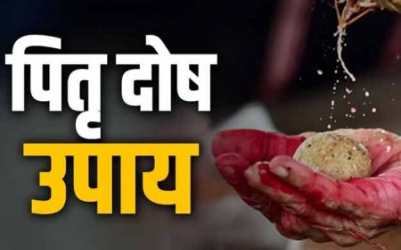 अगर आप पितृ दोष से परेशान हो तो महंगे उपायों बजाय इन सस्ते सरल उपायों से दूर हो सकते पितृ दोष के कष्ट