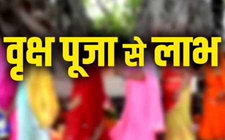 क्या वृक्षों की पूजा करने से लाभ मिलता है क्या वृक्ष मनोकामनाये पूरी करते हैं क्यों इनसे सुख समृद्धि आती है