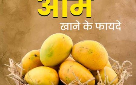 यहाँ जानिए आम खाने के स्वास्थ्यवर्धक फायदे, आम के आयुर्वेदिक प्रयोग और उपयोग की विधि