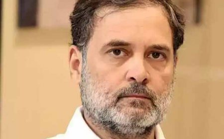 सलमान खुर्शीद ने बताया राहुल गांधी का प्लान! चुनाव रिजल्ट से पहले ही हार के लिए क्यों तैयारी कर रही कांग्रेस? 