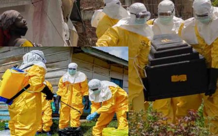 Ebola Outbreak: इबोला पर WHO ने घोषित किया आपातकाल; भारत ने जारी की इन देशों की यात्रा से बचने की सलाह
