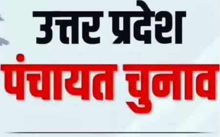 जानिए खुश क्यों हैं चुनावी तारीखों के फेर में मौजूदा प्रधान? 'पंचायत चुनाव जितने लेट हों, उतना अच्छा'