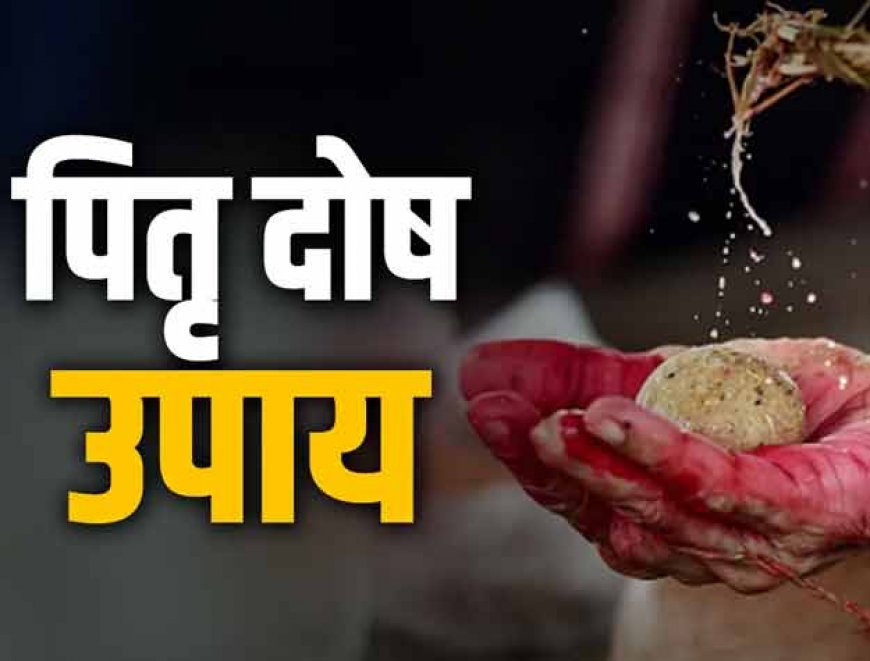 अगर आप पितृ दोष से परेशान हो तो महंगे उपायों बजाय इन सस्ते सरल उपायों से दूर हो सकते पितृ दोष के कष्ट