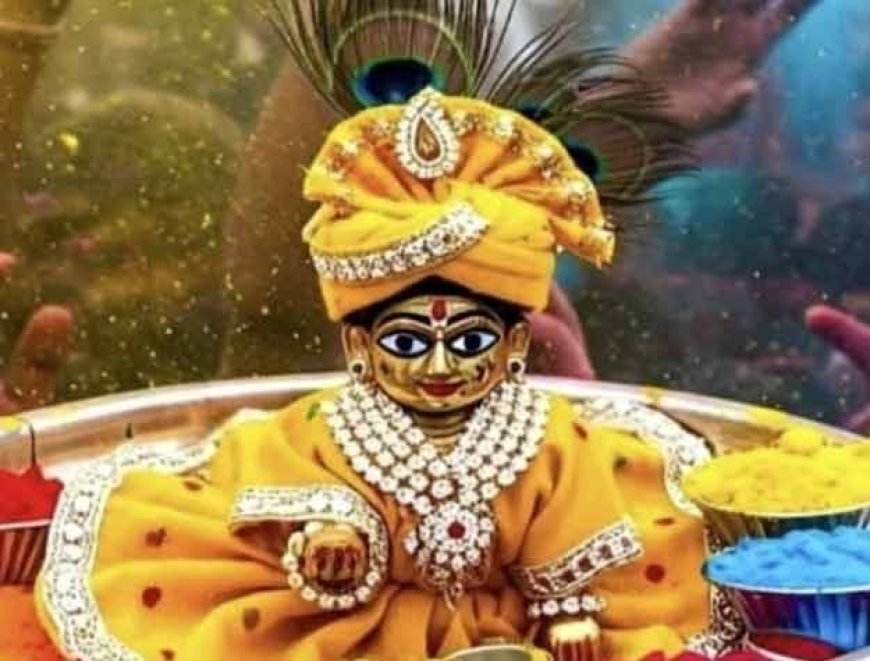 जन्माष्टमी पर घर ला आ रहे हैं लड्डू गोपाल, तो जान लें पूजा से जुड़े जरूरी नियम