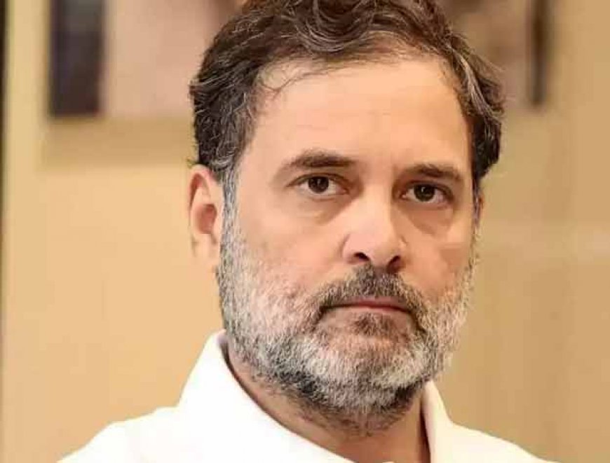 सलमान खुर्शीद ने बताया राहुल गांधी का प्लान! चुनाव रिजल्ट से पहले ही हार के लिए क्यों तैयारी कर रही कांग्रेस? 