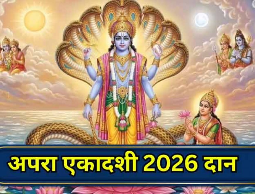 Apara Ekadashi Upay: हर काम में आ रही है बाधा? कट जाएंगे सारे दुख-पाप! अपरा एकादशी पर करें ये अचूक उपाय