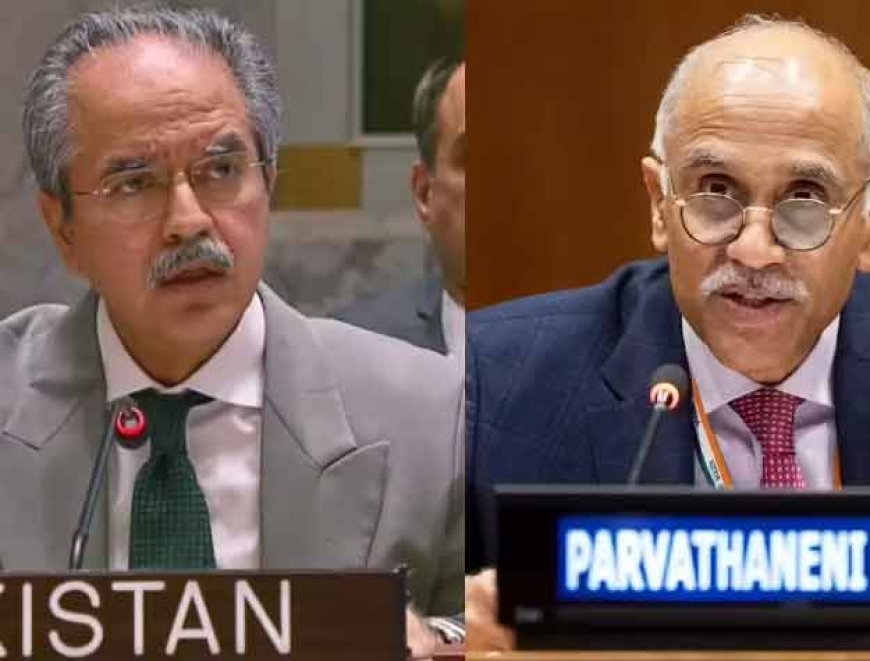 UN में भारत ने पाकिस्तान की बखिया उधेड़ी, नमाजियों पर बम बरसाते हो... याद दिलाए काबुल से ढाका तक कुकर्म 