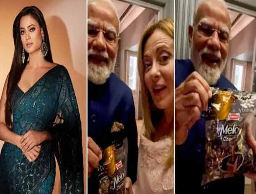 मोदी-मेलोनी की Melody केमिस्ट्री पर बॉलीवुड एक्ट्रेस श्वेता तिवारी का रिएक्शन