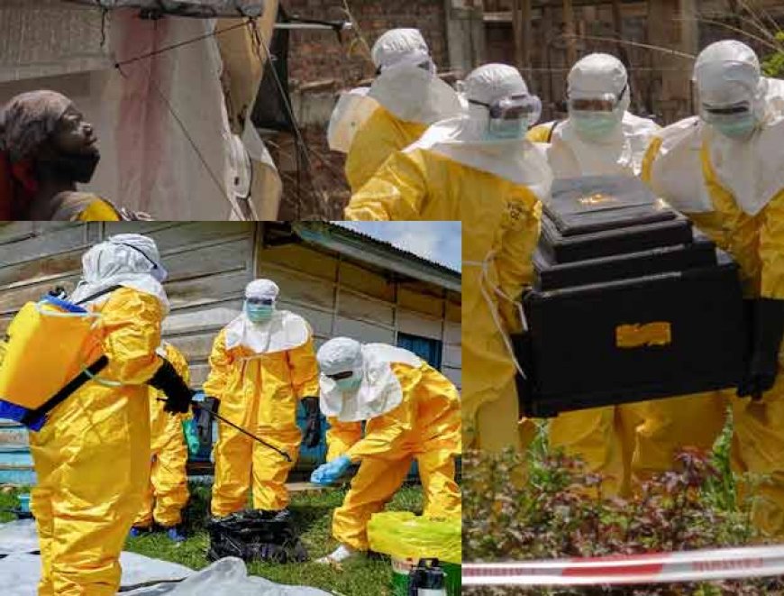 Ebola Outbreak: इबोला पर WHO ने घोषित किया आपातकाल; भारत ने जारी की इन देशों की यात्रा से बचने की सलाह