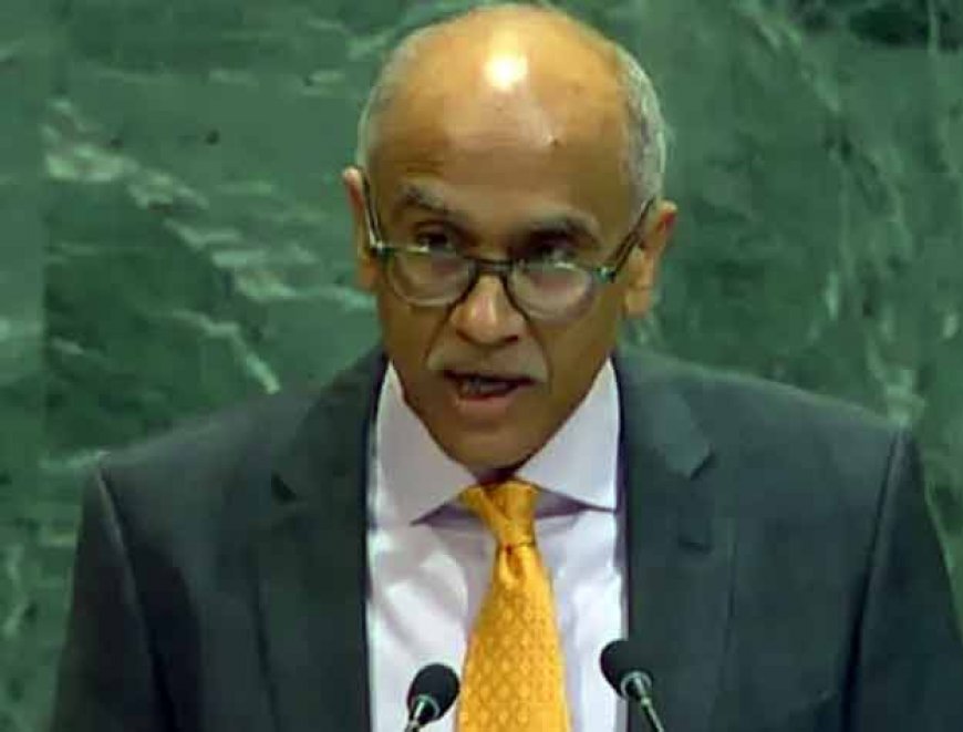 आतंकवाद और कश्मीर के मुद्दे पर UN में भारत ने पाकिस्तान को फिर से फटकार कहा - 'गंभीर परिणाम होंगे'