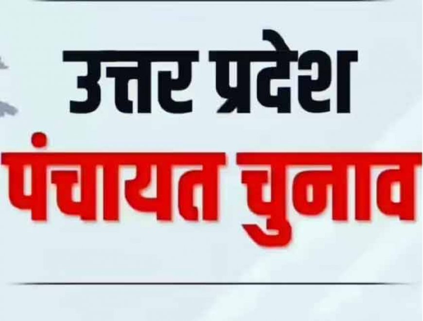 जानिए खुश क्यों हैं चुनावी तारीखों के फेर में मौजूदा प्रधान? 'पंचायत चुनाव जितने लेट हों, उतना अच्छा'