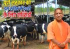 डेयरी फार्म खोलने का है प्लान, तो योगी सरकार करेगी आपकी मदद! जानिए पूरी स्कीम और सब्सिडी बेनिफिट्स