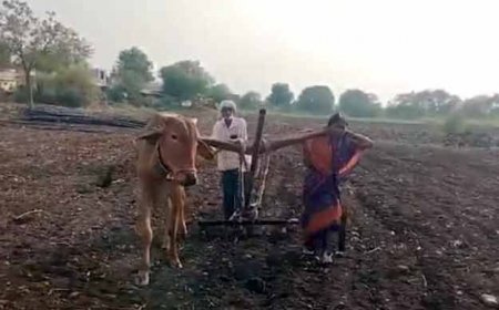 पत्नी को बैल की जगह बांधकर खेती कर रहा था किसान, Video वायरल हुआ तो मुख्यमंत्री ने उठाया बड़ा कदम